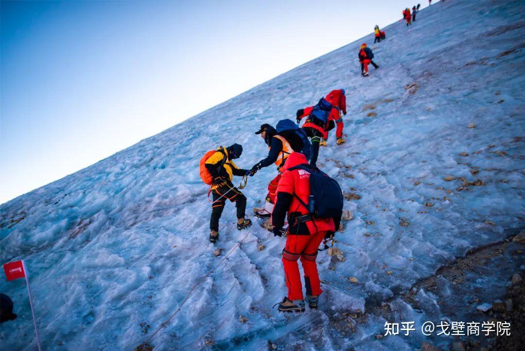 鸟德挑战外观是打什么_不死鸟大师的挑战路线_工藤新一的挑战状怪鸟传说之谜