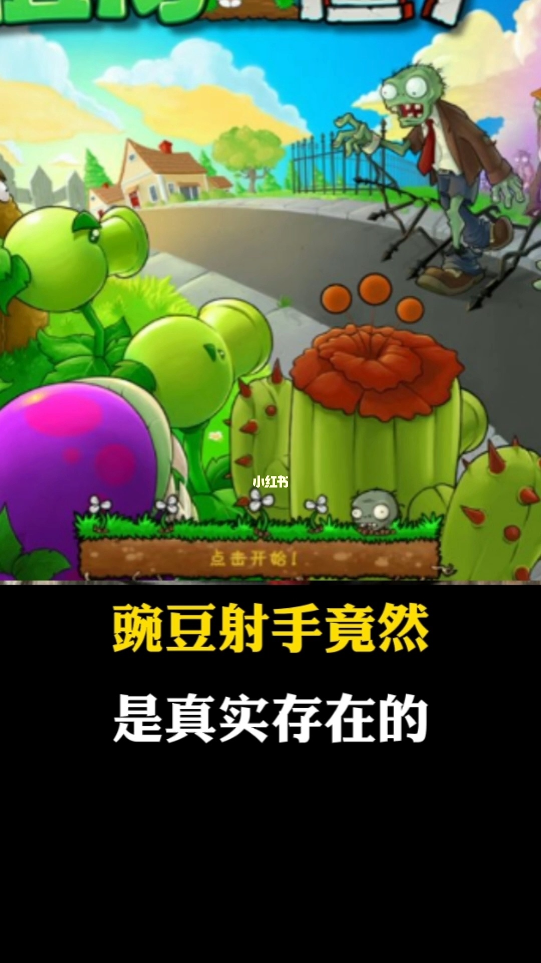 僵尸大战植物在线观看中文版_z植物大战僵尸_僵尸大战植物宅宅萝卜