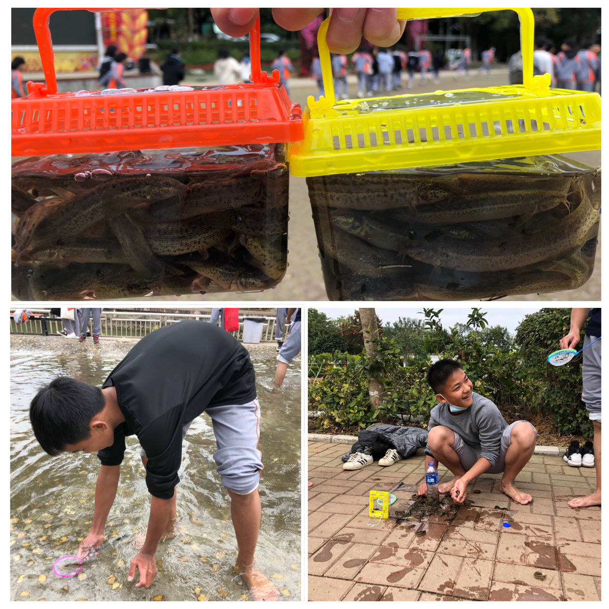 抓泥鳅游戏机技巧_抓泥鳅游戏_抓泥鳅游戏机超级大奖怎么出来