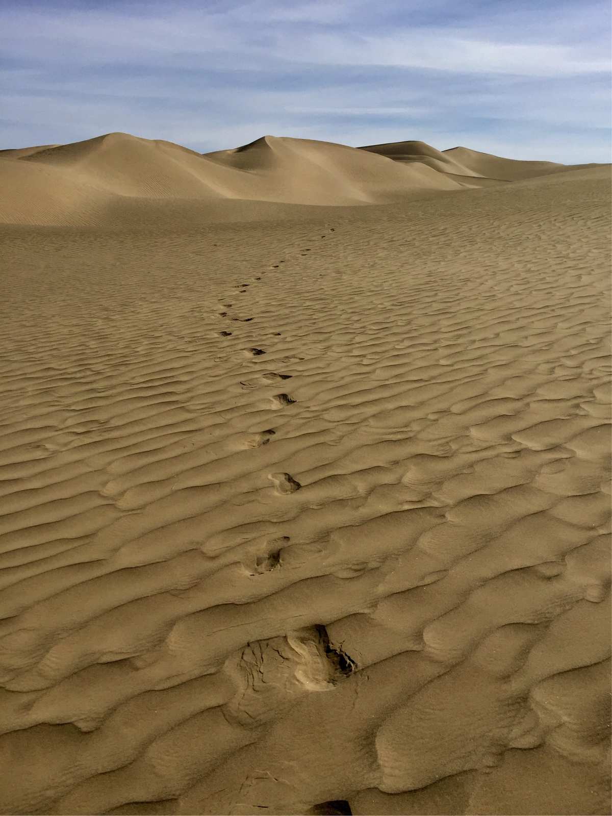 玩幺地人的技巧心得_有幺地人的微信群吗_幺地人