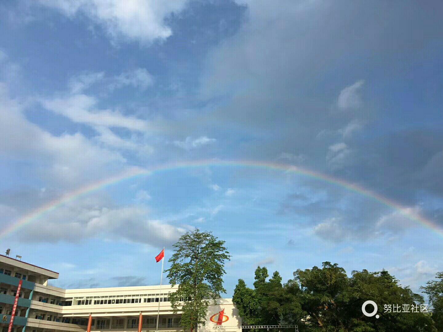 彩虹论坛 box_彩虹论坛怎么登不了了_彩虹论坛博客