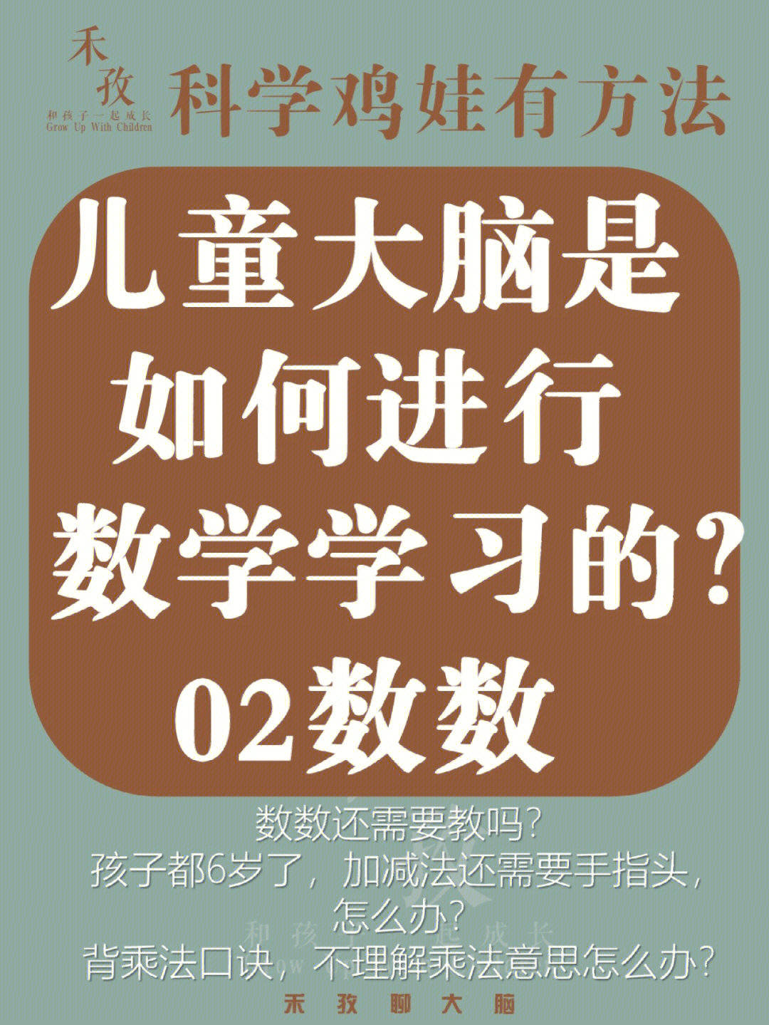 最强大脑第二季水哥视频_最强大脑第一季水哥_最强大脑水哥个人资料