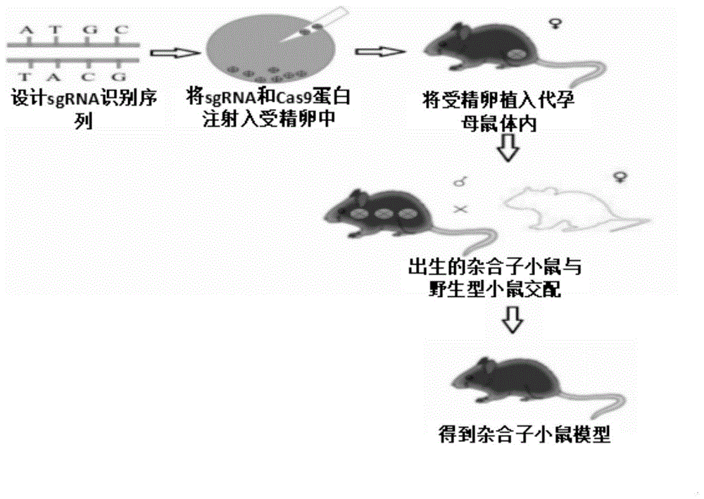 鼠房管理_鼠鼠生活馆_鼠鼠生活馆自营店