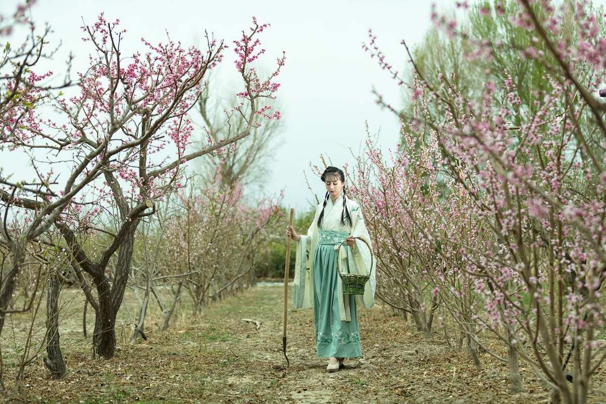 冒险岛079一线海_冒险岛里面的花_葬花海冒险岛