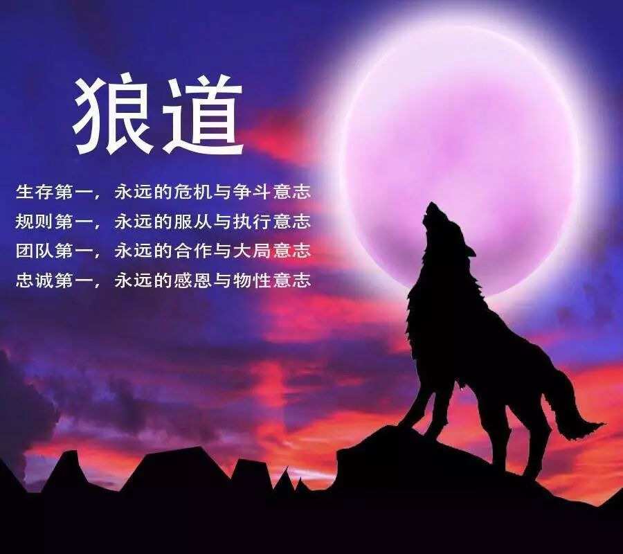 朋友说心好累怎么回复_别人说他是我爸神回复_别人说你是个狼人你怎么回复