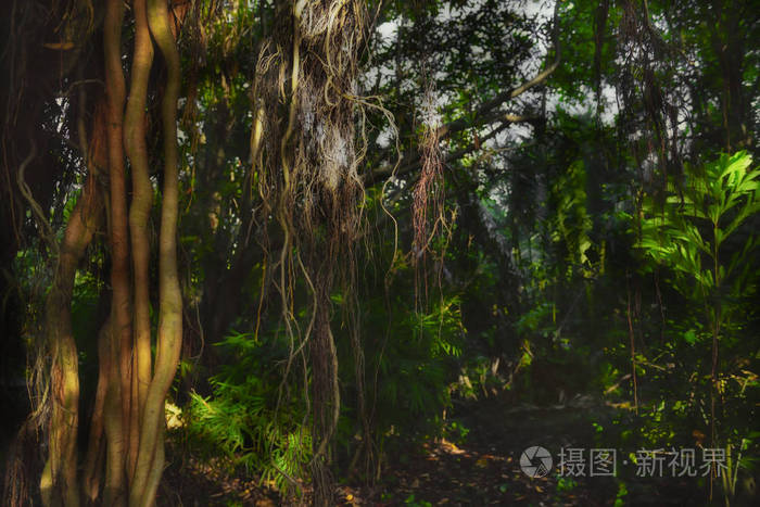 精灵岛儿童乐园_精灵岛桌游_精灵岛