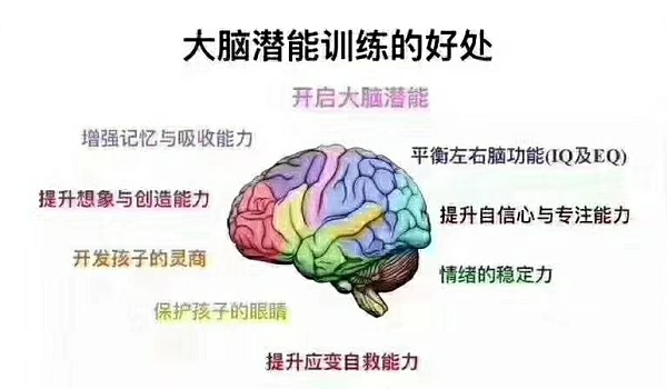 最强大脑水哥个人资料_最强大脑第二季水哥视频_最强大脑歌手选手