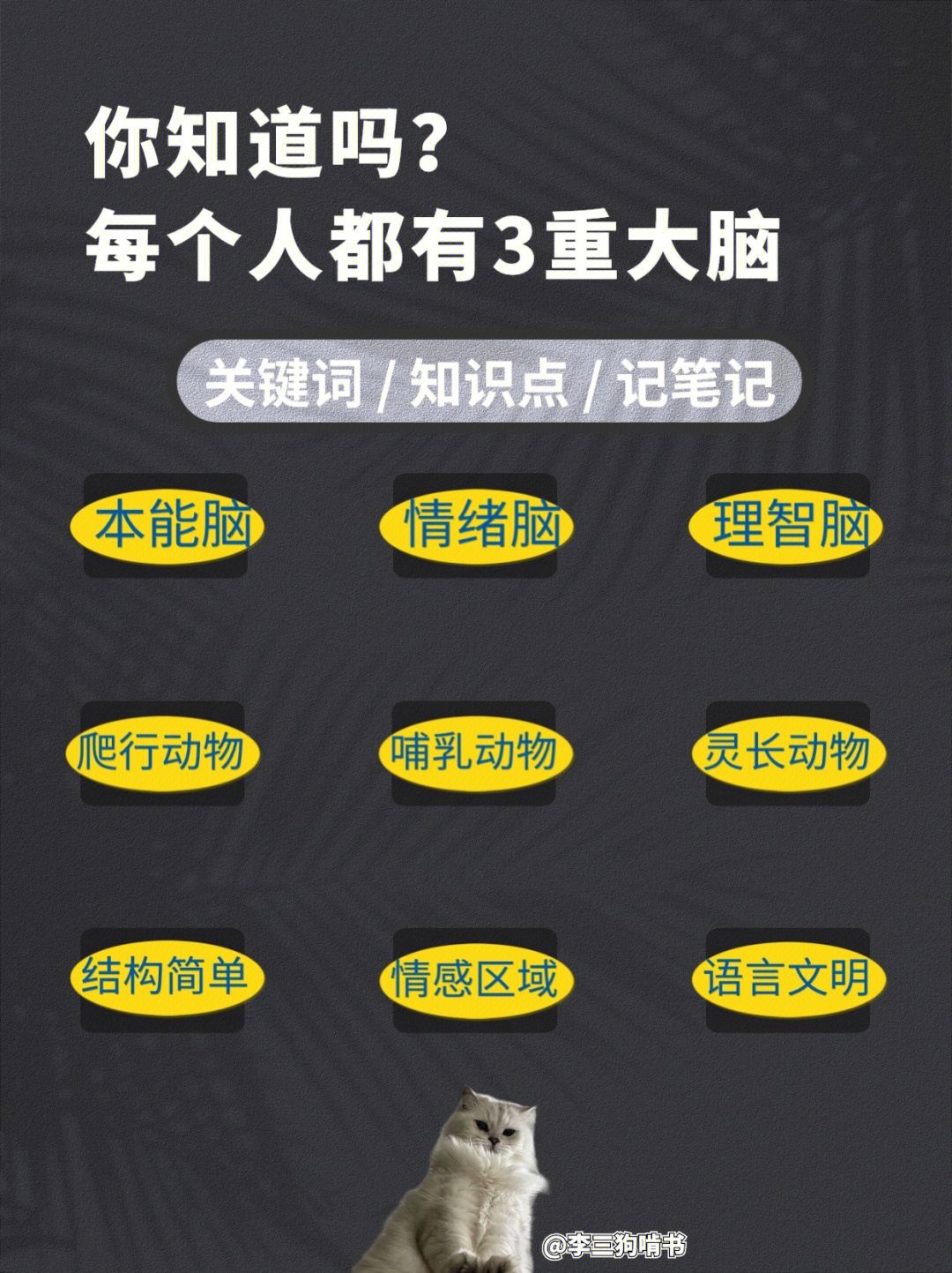 最强大脑水哥个人资料_最强大脑歌手选手_最强大脑第二季水哥视频