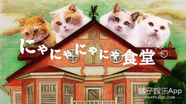 唐家小猫新版链接_唐家小猫游戏_唐家小猫网络版