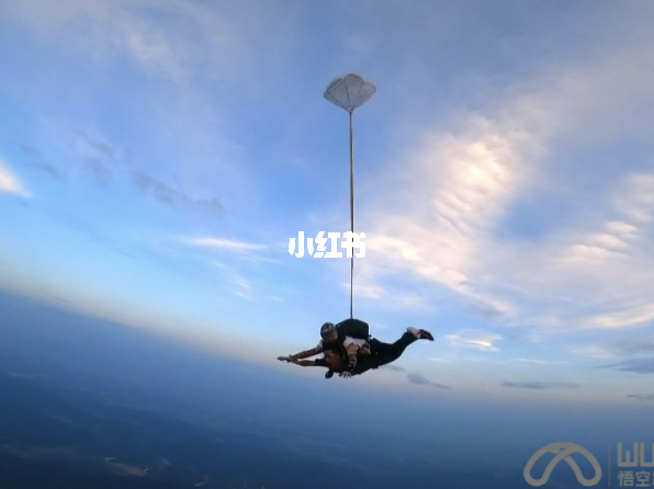 诺基亚6108自带的游戏sky dive_诺基亚自带游戏闯关类_诺基亚自带游戏大全