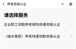 河北养老保险资格认证_河北人社养老资格认证_河北省养老资格认证