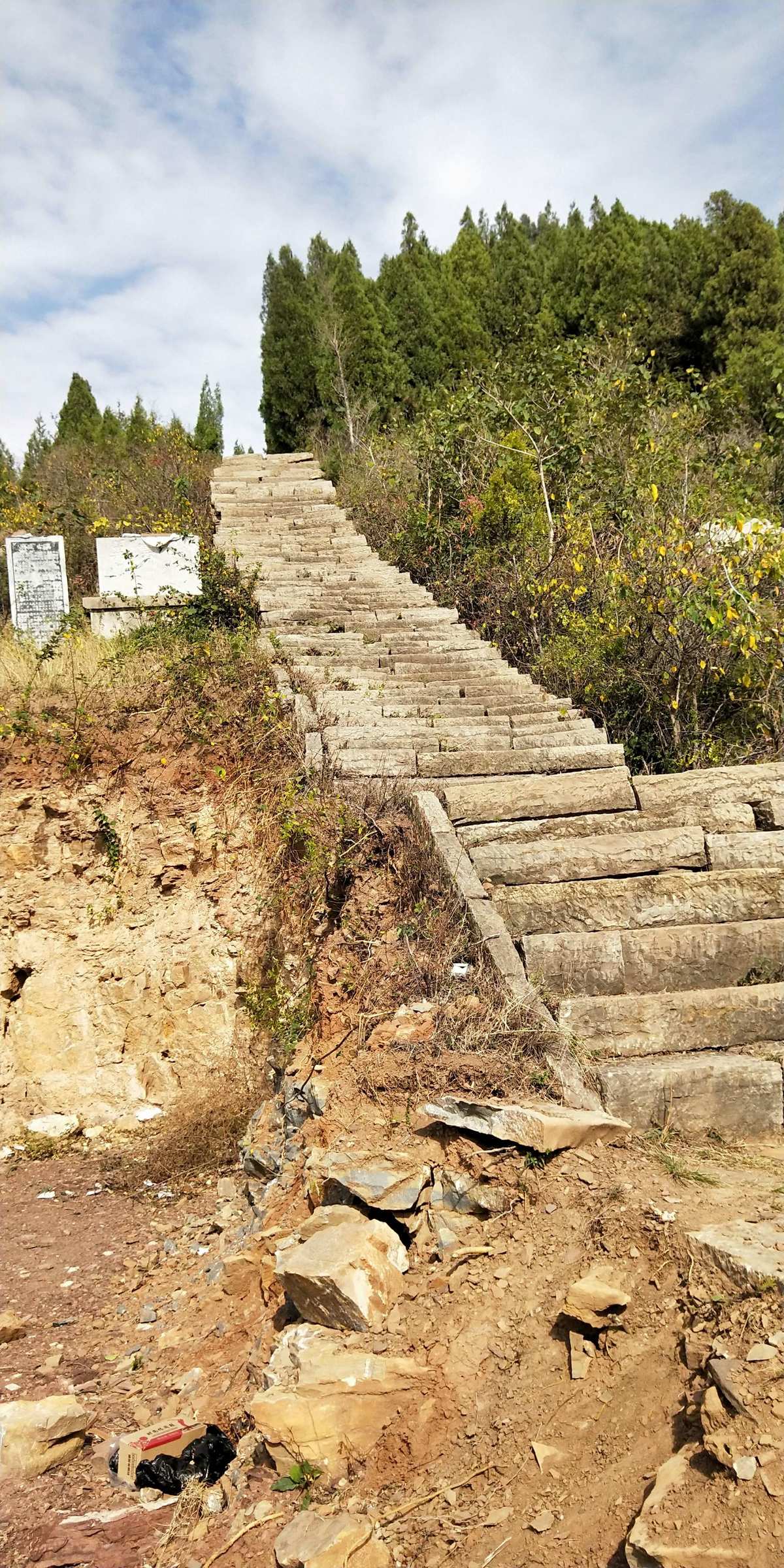 毒蛇神殿_毒蛇神殿里的那个任务_毒蛇神殿顺序