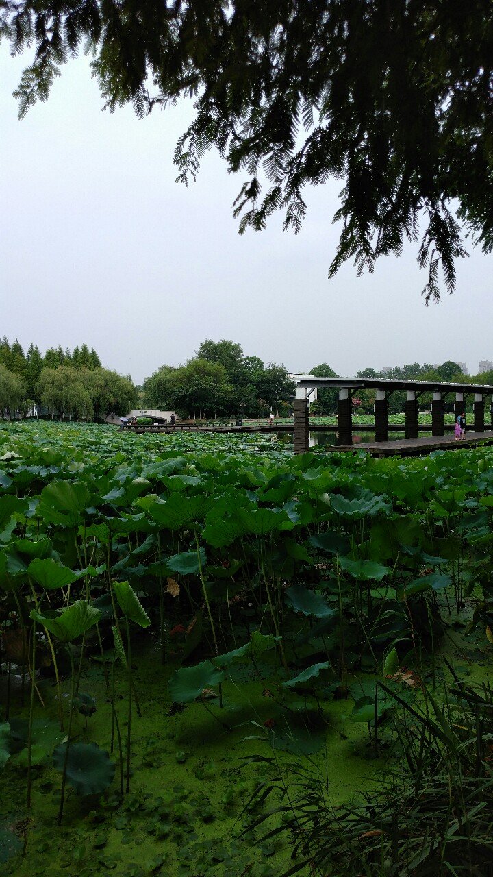 下载我的常州_常州下载app_常州下载核酸检测报告