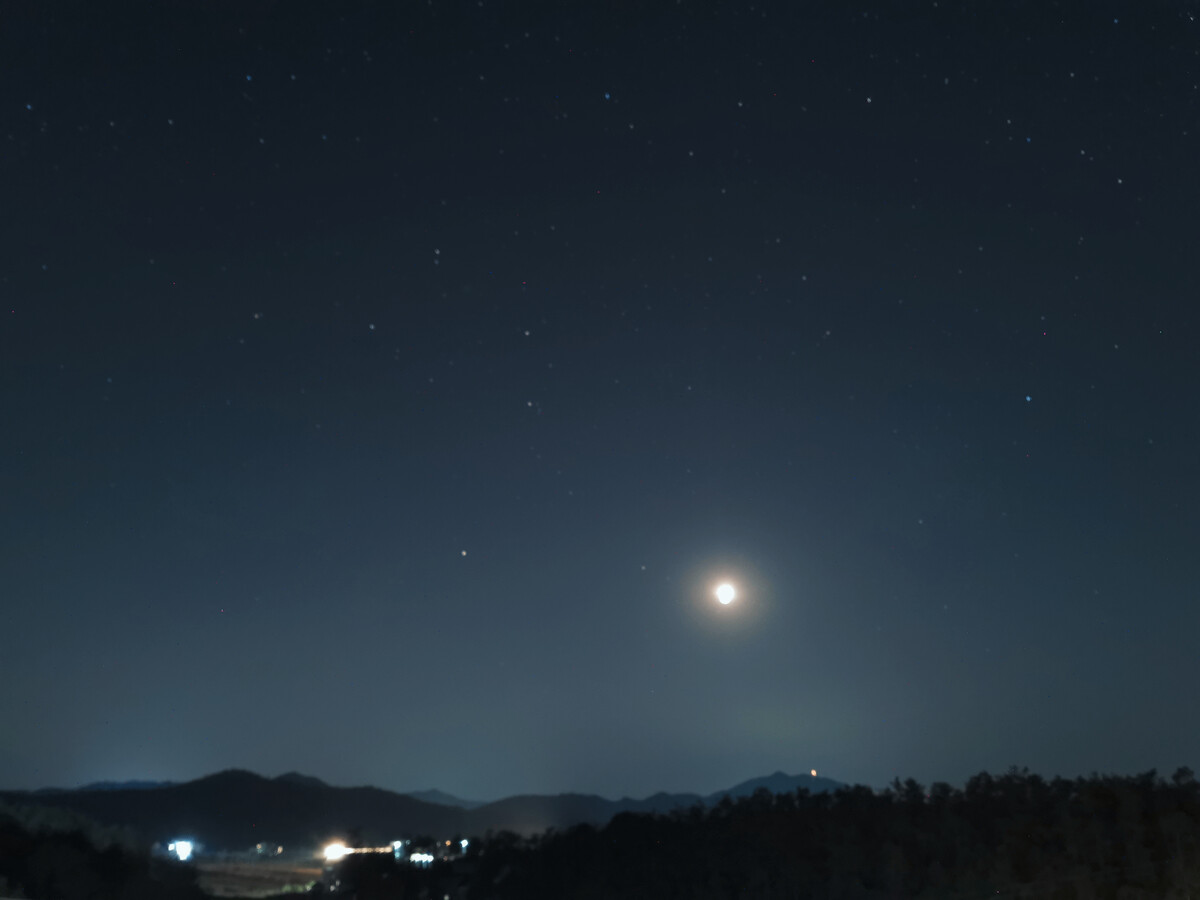 恋夜直播手机客户端_夜枫去哪直播了_夜直播