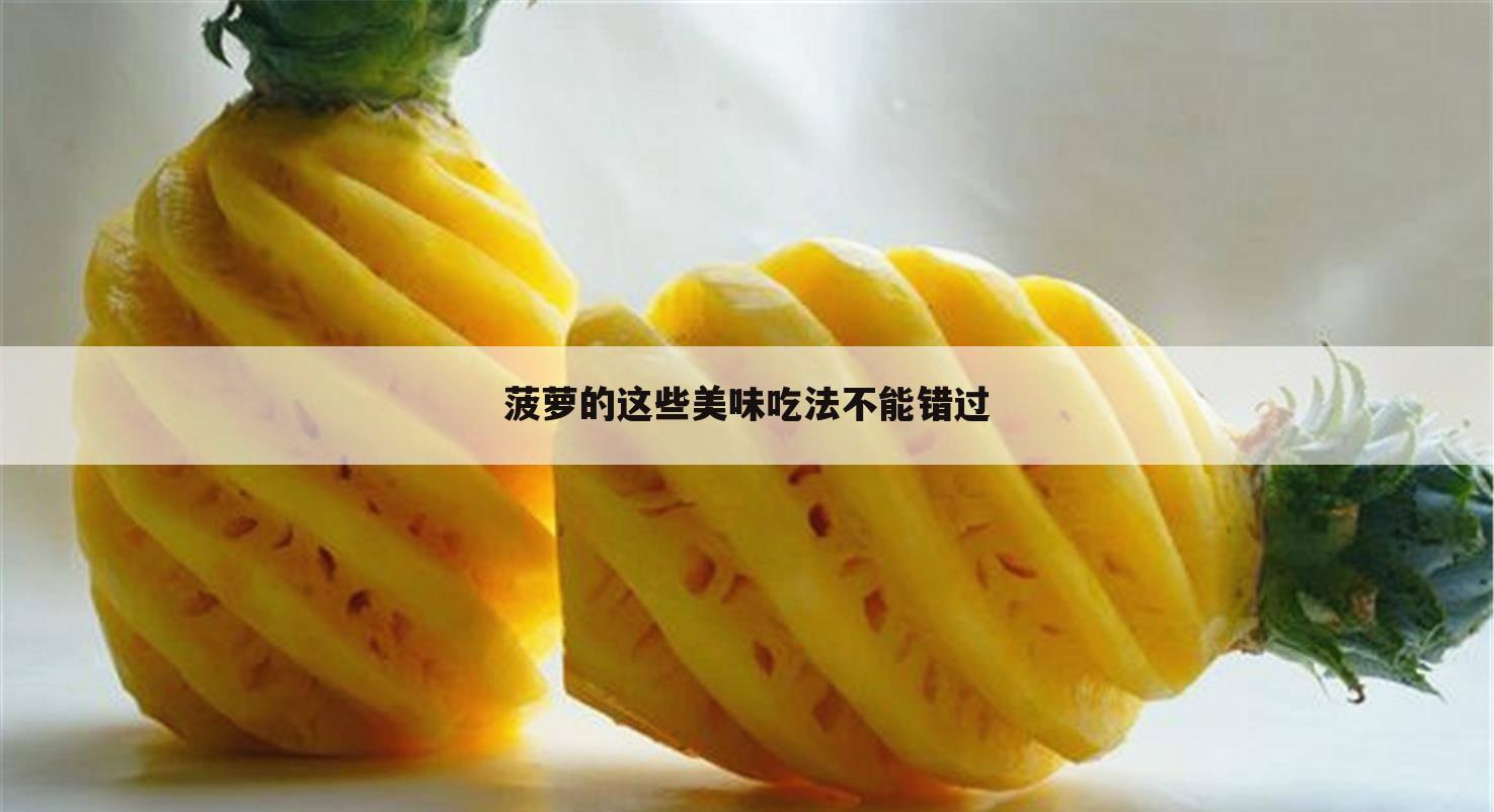 菠萝导航_导航菠萝岭小学_菠萝导航怎么安装