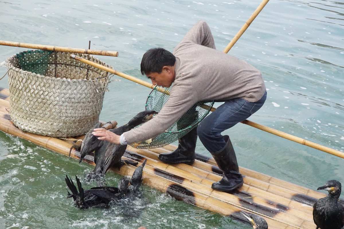 捕鱼平台游戏有哪些_捕鱼游戏平台_捕鱼平台游戏开发