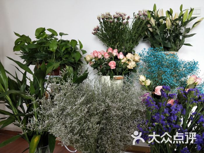 原色花艺_原花色素是什么_原色花堂