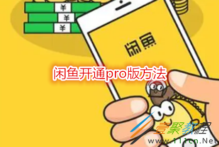 闲鱼pro版在哪里开通_闲鱼pro版如何开通_闲鱼pro版怎么开通