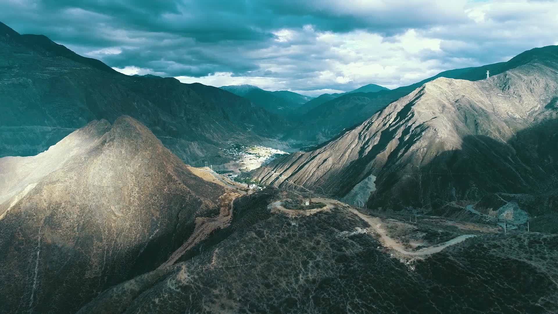 潜鸟_潜鸟的叫声_潜鸟目