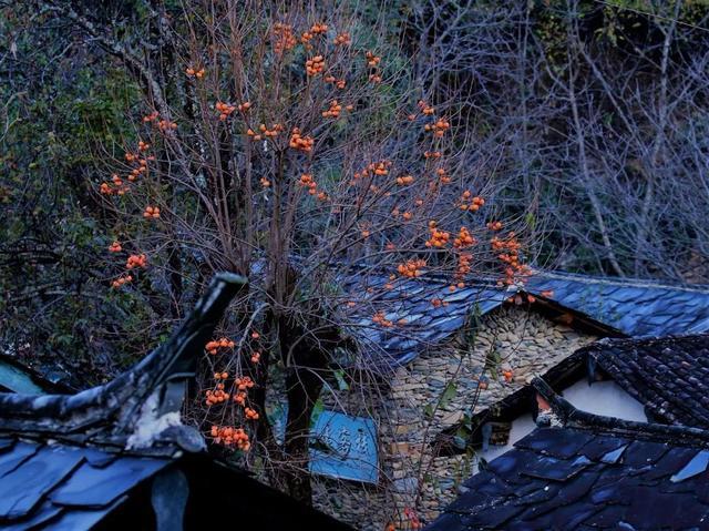 江湖悠悠黄粱村瓜子在哪_江湖悠悠黄粱村怎么洗脸_江湖悠悠黄粱村