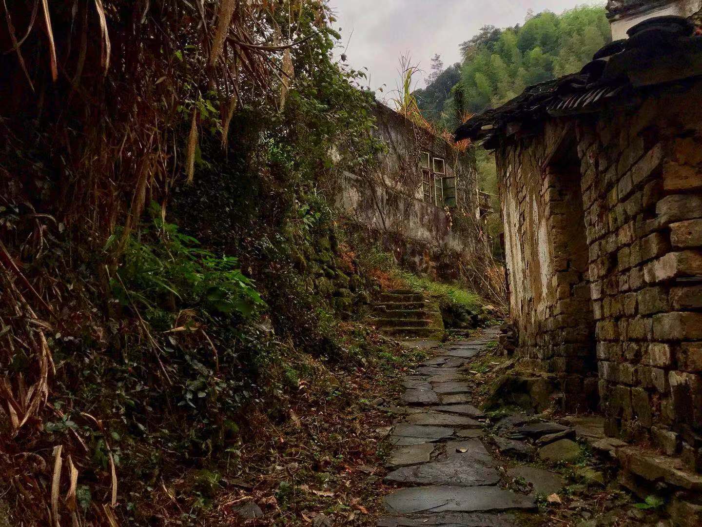 江湖悠悠黄粱村怎么洗脸_江湖悠悠黄粱村_江湖悠悠黄粱村瓜子在哪