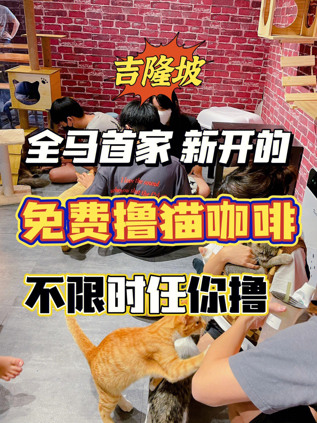 分红猫app_分红猫是骗局吗_分红猫