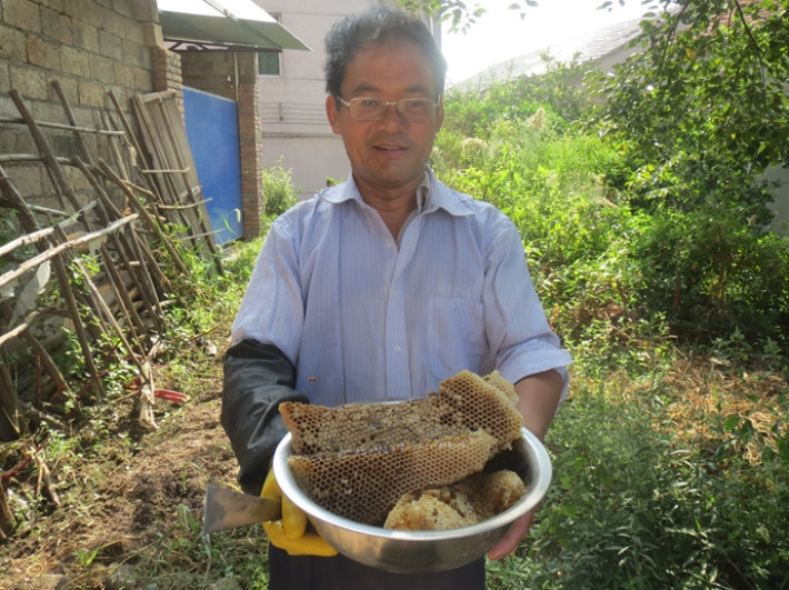 我的世界怎么养蜜蜂和收蜂蜜_我的世界怎么养蜜蜂和收蜂蜜_我的世界怎么养蜜蜂和收蜂蜜