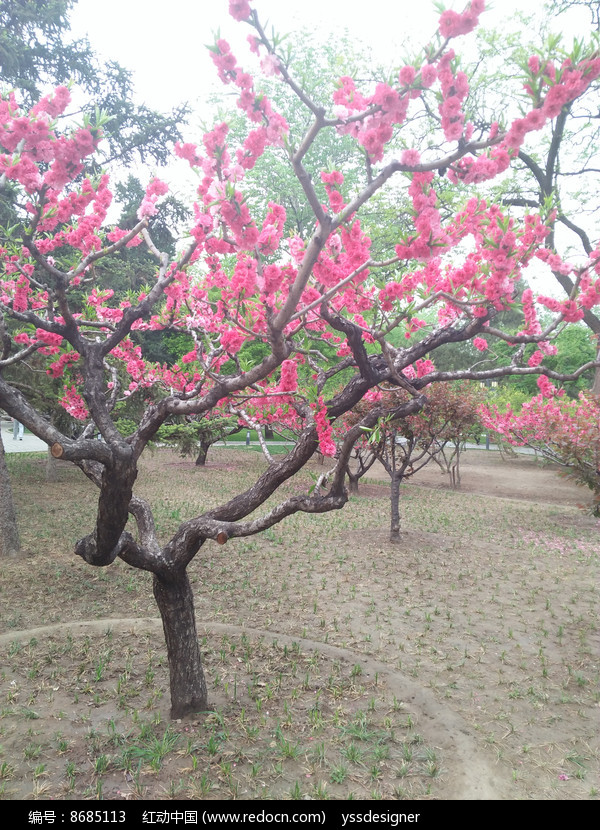 桃缘山神笔趣阁_桃缘_桃缘山神全文txt