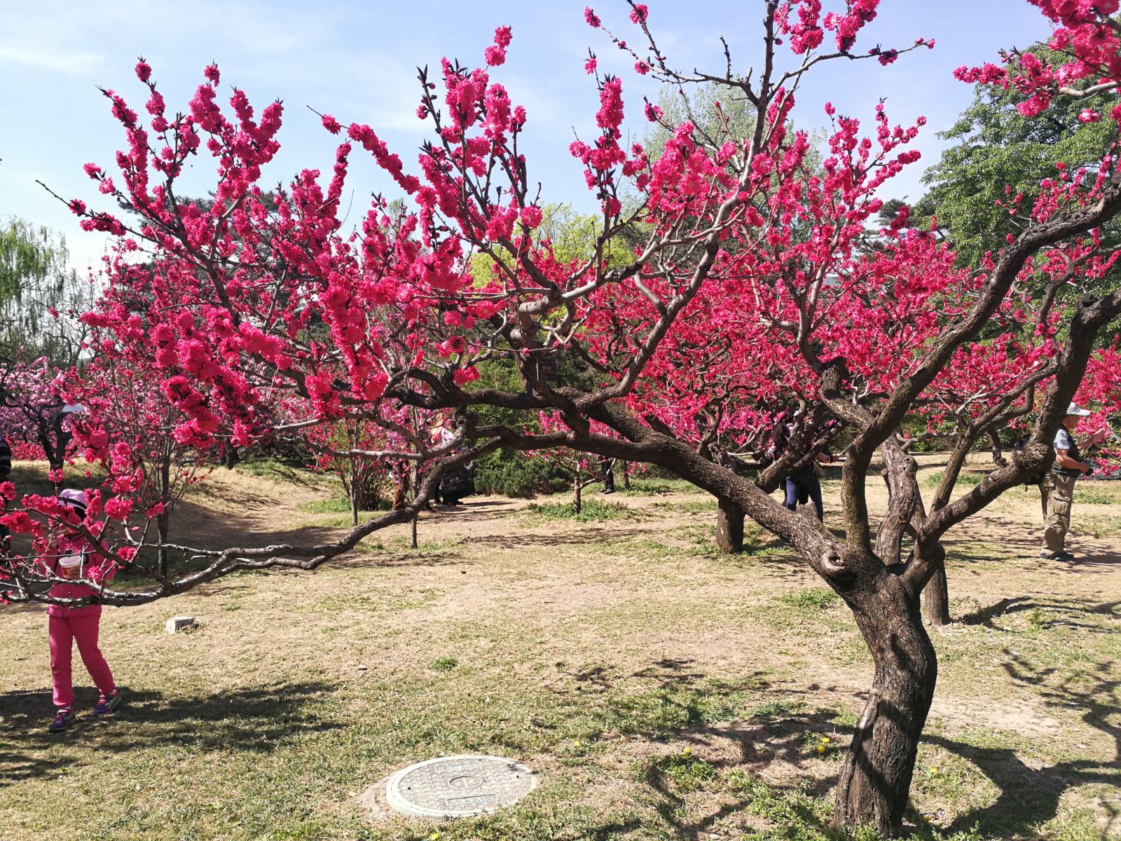 桃缘_桃缘山神全文txt_桃缘山神笔趣阁