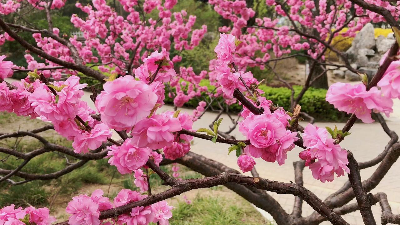 桃缘_桃缘山神笔趣阁_桃缘山神全文txt