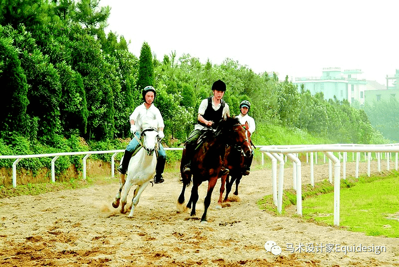 顶级跑马牧场开局选什么马_顶级跑马牧场debug版_顶级跑马牧场