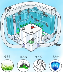 磁力蚂蚁_蚂蚁磁力官网_蚂蚁磁力搜索引擎