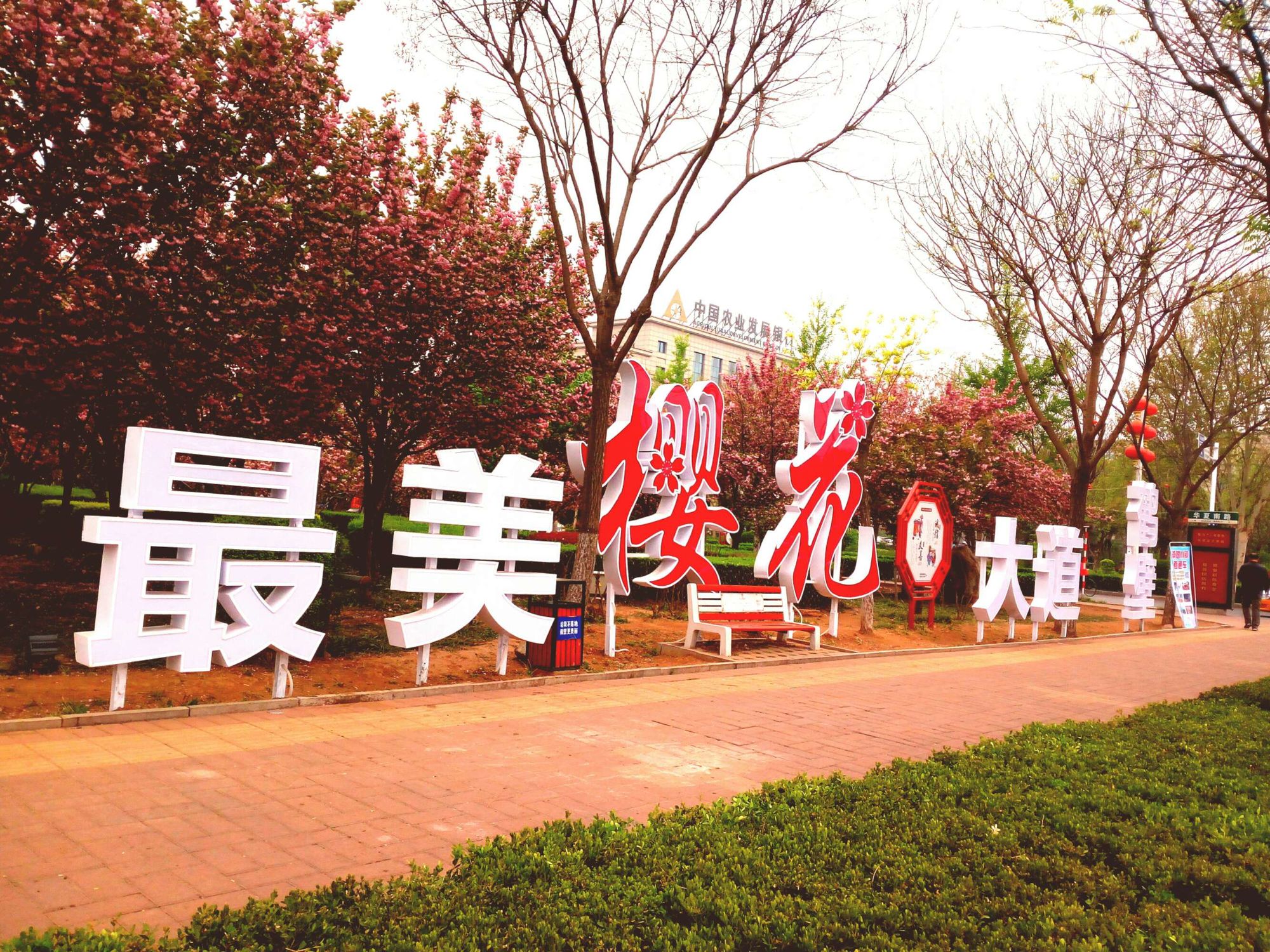 樱花校园怎么把肚子弄大_樱花校园大肚子教程_樱花校园学生怀孕肚子疼