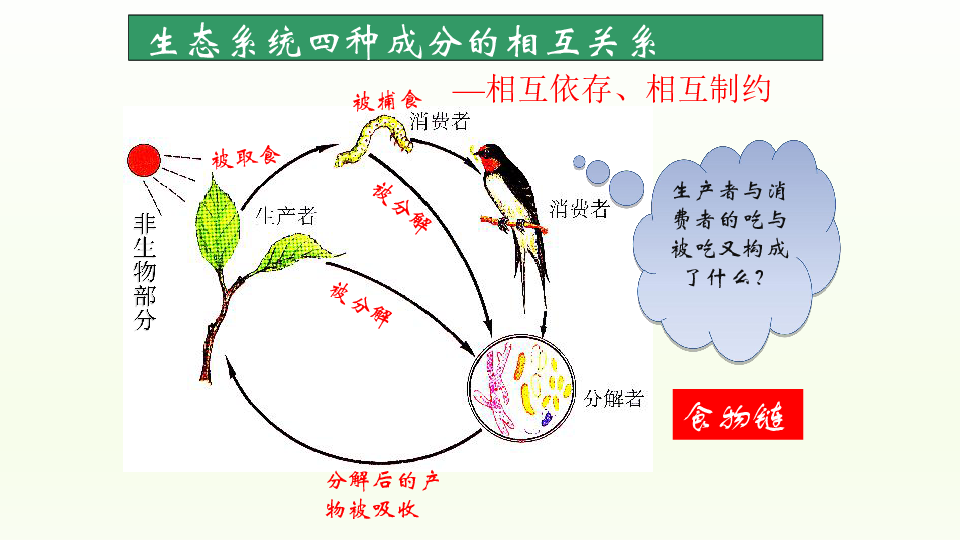 饥荒手游猪王怎样交易_饥荒猪王交易表_饥荒中怎么跟猪王交易换取金子