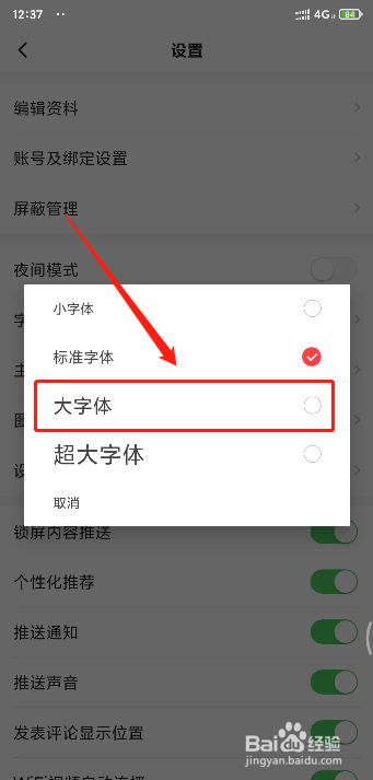 字体放大软件手机下载_手机游戏字体变大代码_手机里面游戏怎么放大字体