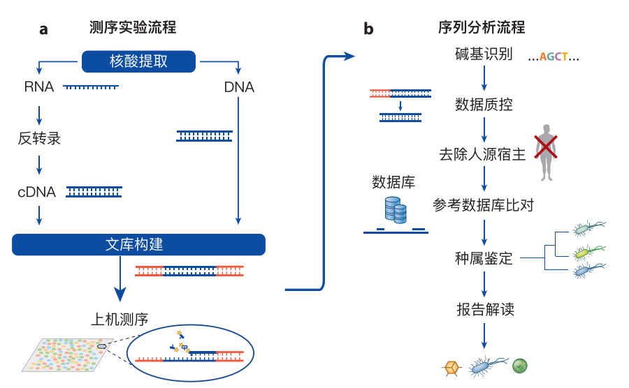手机程养游戏_养成游戏大全手机_养成游戏小程序