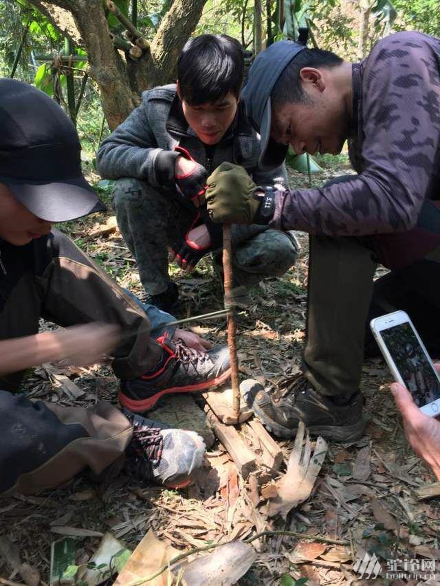 森林生存手机中文版下载破解_森林手机生存游戏下载_森林生存手游中文版下载