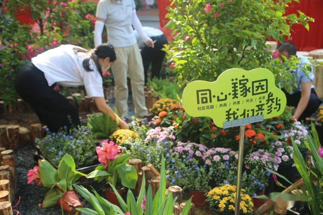 花园银行在哪里_花园银行西岸办公室在哪里_花园银行