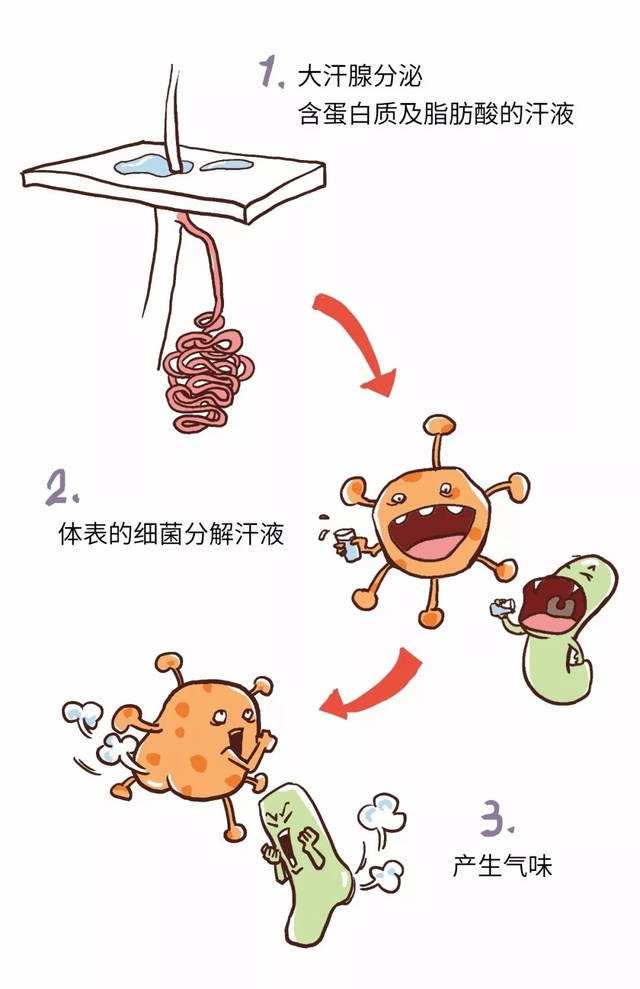 手汗 手机游戏_手机游戏出手汗_游戏手汗