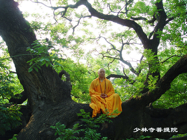 久远寺有珠百度百科_久远寺有珠母亲_久远寺有珠