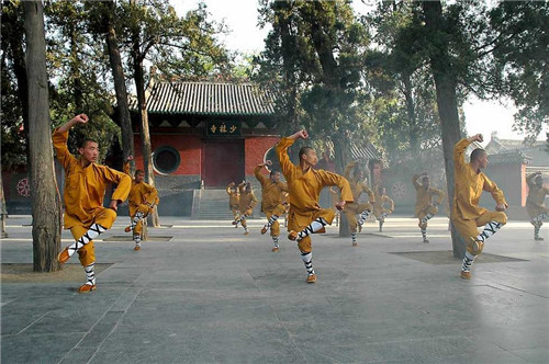 小拳石_拳石小西瓜_地牢围攻2石拳