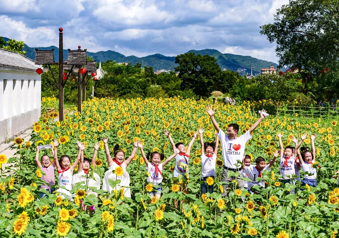 看花海手机游戏软件_手机看花海游戏_看花海手机游戏叫什么