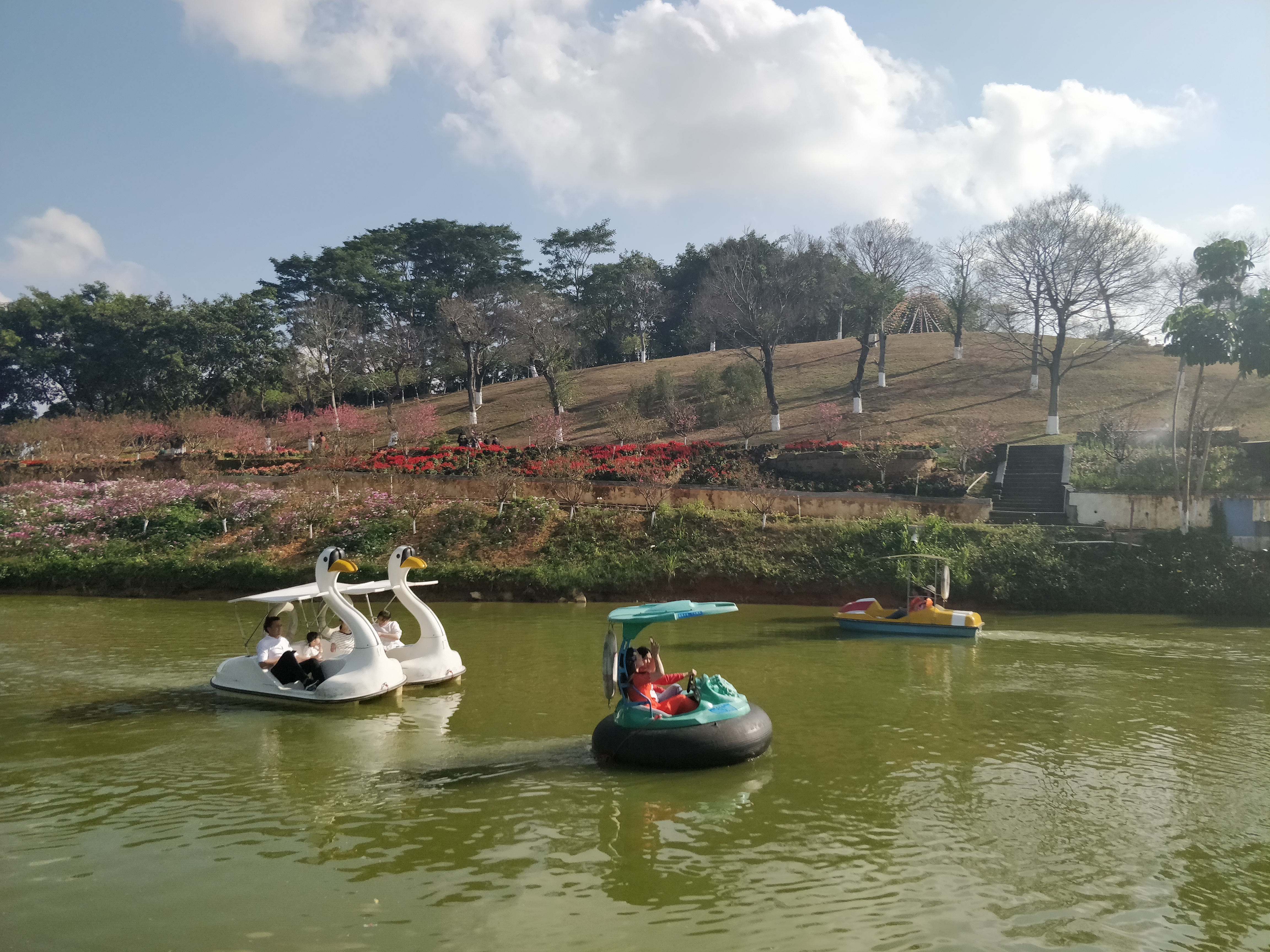 看花海手机游戏软件_看花海手机游戏叫什么_手机看花海游戏