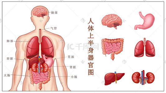 循环依赖怎么解决_循环依赖为什么需要三级缓存_springboot循环依赖