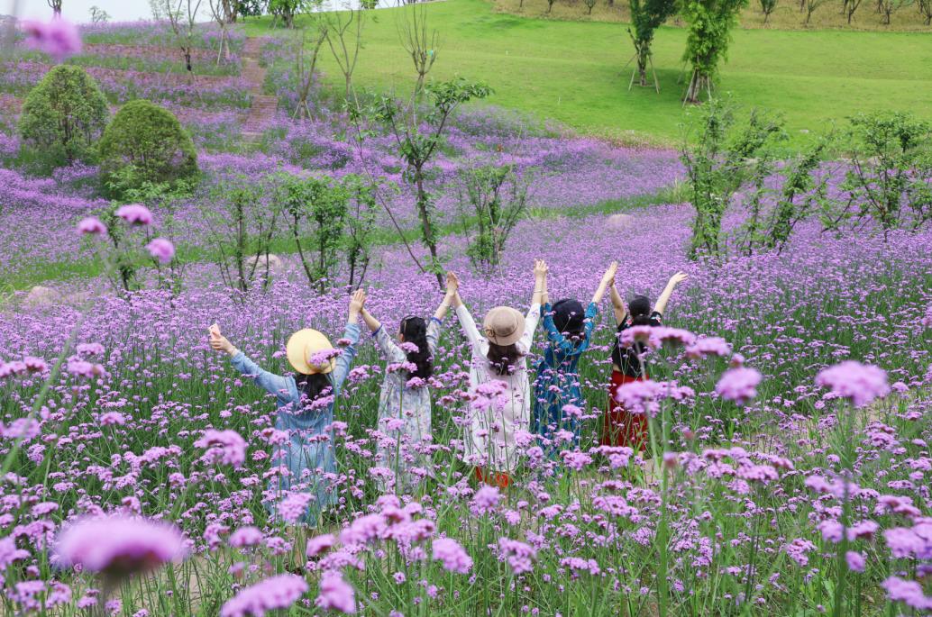 花园绮罗_花园绮罗_花园绮罗