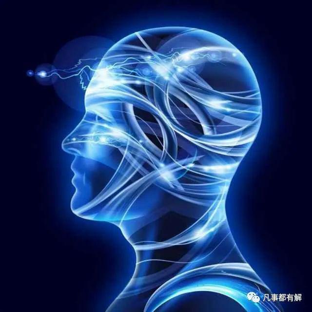 活珠子_偶活_偶活