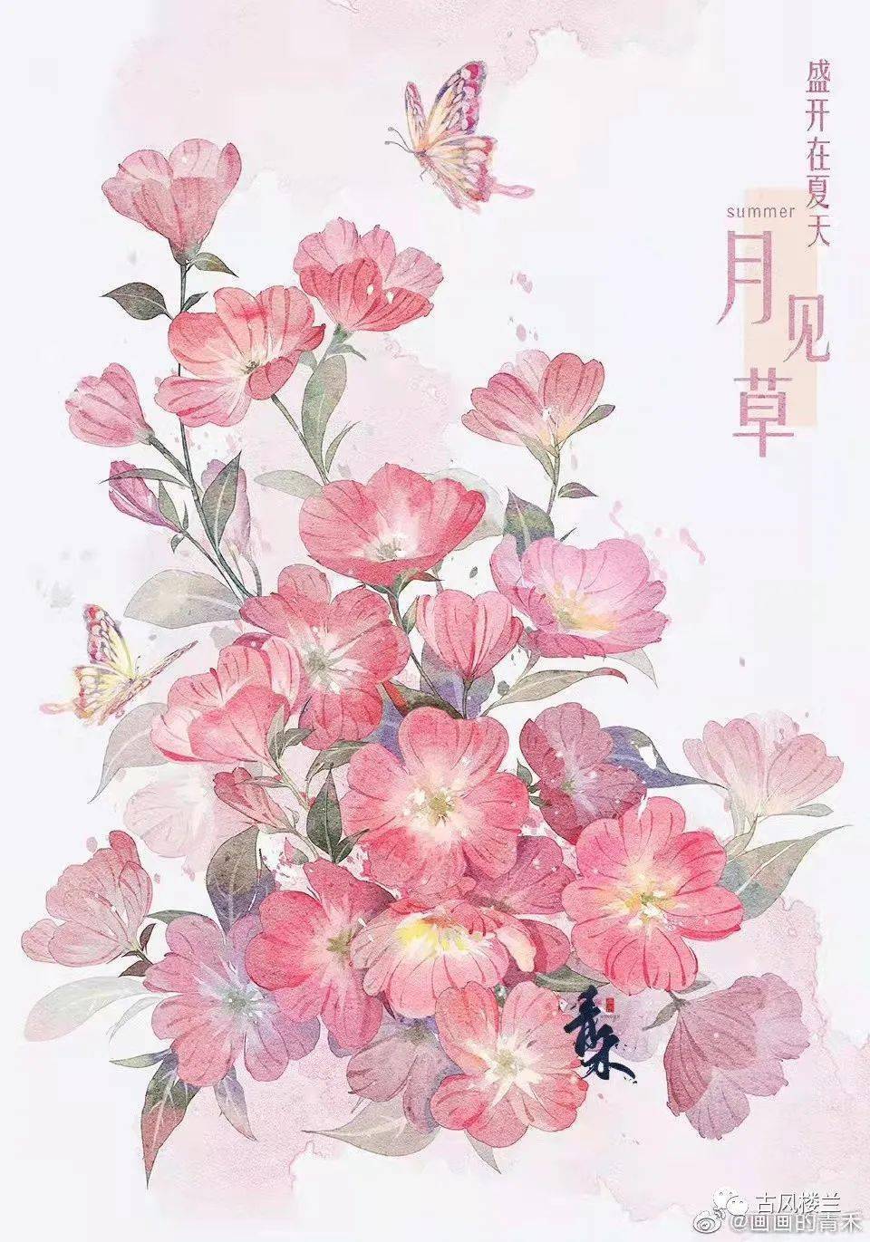 茉莉花开是什么歌_茉莉花开歌词_茉莉花开歌词