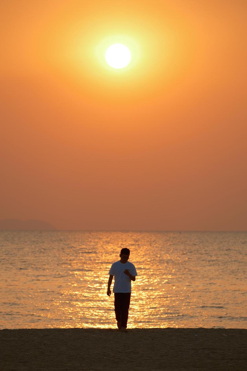 《海滩上》_在海滩上的电影_上海滩许van强