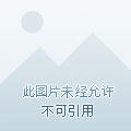 手机宠物养成手机游戏_手机养宠物的游戏_手机养成宠物游戏软件
