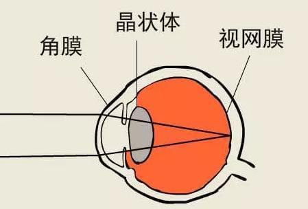 游戏玩多了对手机危害_关于玩手机游戏危害的作文_手机游戏危害警句